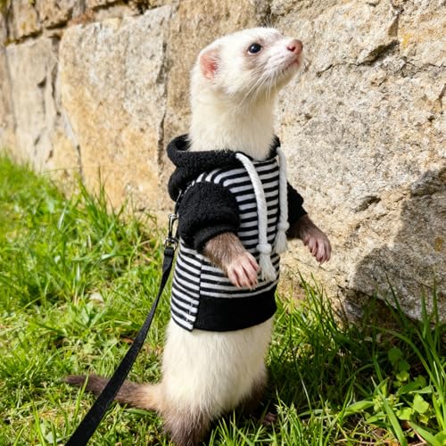 Small Pet Harness Vest and Leash Set Ferret Clothes Hoodies for Ferrets for Outdoor Walking Rabbit Ferret Guinea Pig Bunny Hamster Puppy Kitten (Black and White Striped Clothes + Leash) - color: Black and white striped clothes + leash
