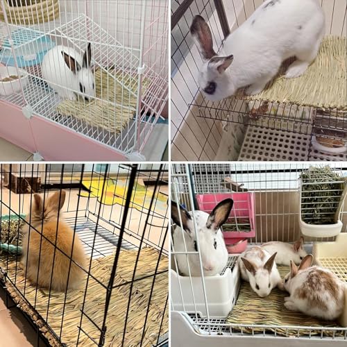 Tfwadmx 20 Pcs Bunny Grass Mat Rabbit Natural Straw Woven Bed Small Animal Cages Sleeping Hay Mats Nest Play Chew Toys for Guinea Pig Rabbit Chinchilla Squirrel Hamster - size: 20Pcs