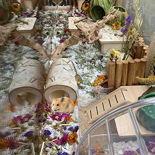 Wooden Hamster Tunnel Natural Birch Wood Tree Holes Tube Small Animal Hollow Trunk Hideout Exercise Dwarf Mice Chew Toys Cage Accessories for Chinchillas Guinea Pigs Dwarf Mouse Rat(10Pcs) - size: 【10Pcs】