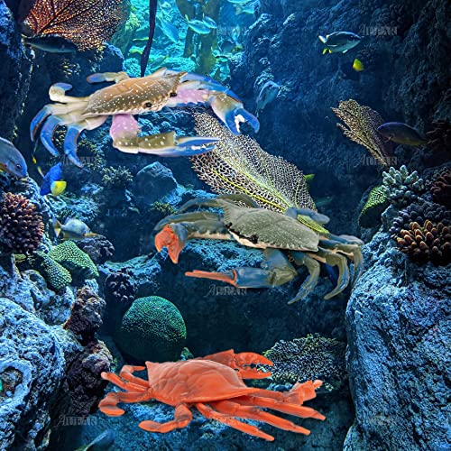 AUEAR, 3 Pack Artificial Plastic Realistic Crab Decoration Simulated Sea Life Animals Figurines - color: Style H, size: 3 Pack