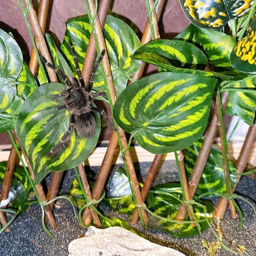 Reptile Hermit Crab Climbing Wall Toys, Bearded Dragon Climb Tank Accessories, 15.75 in Watermelon Leaves Retractable Hedge Fence Background, Gecko Spider Aquarium Decoration with Suction Cups - color: Watermelon Leaves Reptile Climbing Wall