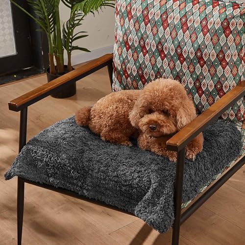 Kritter Planet Waterproof Reversible Pet Blanket for Small Dogs | 20 x 30 Inch, Washable Pet Protector for Crates, Pet Beds and Car Seats, Guards Against Fur, Dirt and Everyday Spills - color: Grey/Charcoal Grey, size: 30"x25"