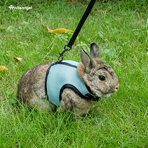 Niteangel Adjustable Soft Harness with Elastic Leash for Rabbits (XL, Blue) - color: Blue, size: XL