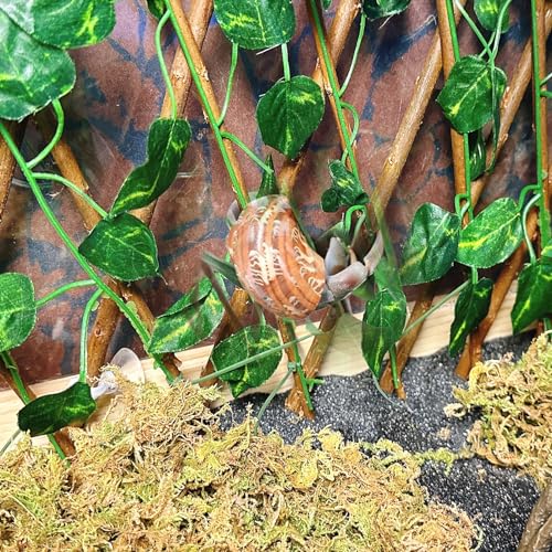 Reptile Hermit Crab Climbing Wall Toys, Bearded Dragon Climb Tank Accessories, 15.75 in Evergreen Leaves Retractable Hedge Fence Background,Gecko Spider Aquarium Decoration with Suction Cups - color: Evergreen Leaves Reptile Climbing Wall