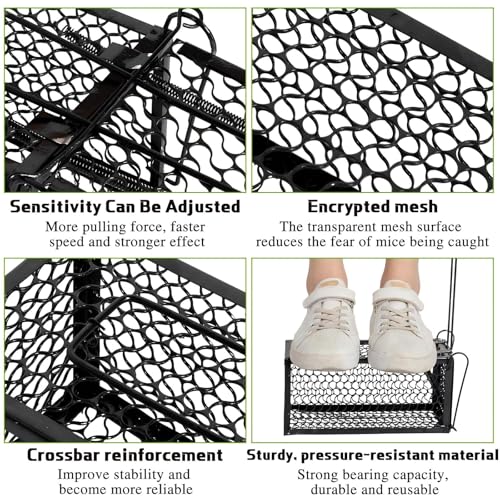 Qualirey 2 Pcs Humane Rat Trap Chipmunk Rodent Mouse Squirrel Trap,Black | 9.1 x 4.5 x 4.5 Inches Mouse Voles Hamsters Cage Rat Cage for Mice Easy to Catch and Release - color: Black