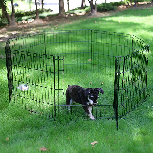 Peekaboo Dog Playpen 24 Inch, 8 Panel Foldable Rustproof Pet Fence, Black | Sturdy Metal Pet Fence,Quick Folding Setup,Indoor and Outdoor Use,Climate Pledge Friendly Choice - style: Only playpen