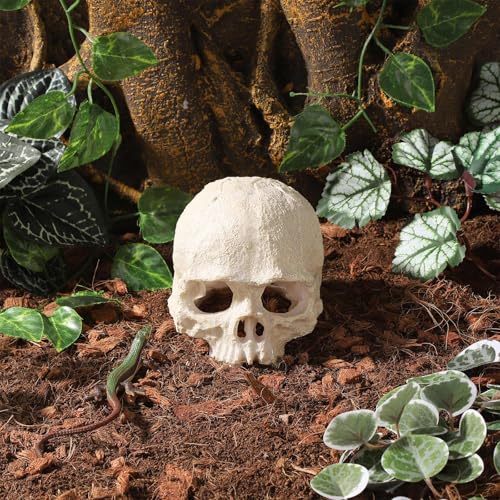 Resin Reptile Hideout for Tank Realistic Skull Decor for Terrarium White Decorative Skeleton Head Hides and Caves for Fish Ball Python Axolotl Tarantula - color: White