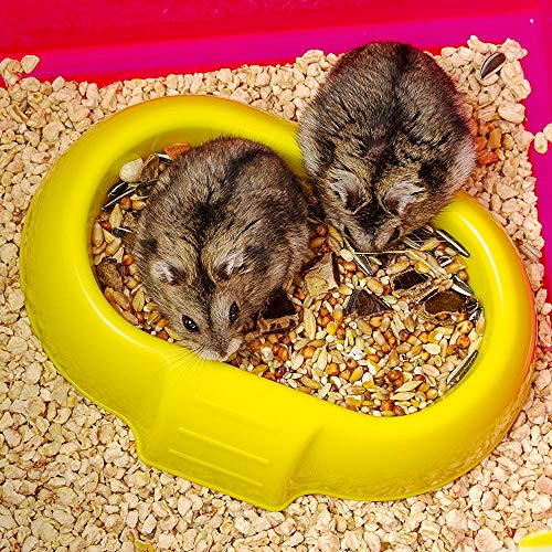 Ferplast Laura Small Hamster Cage | Fun & Interactive Cage Measures 18.11L x 11.61W x 14.8H & Includes All Accessories - style: Laura Hamster Cage