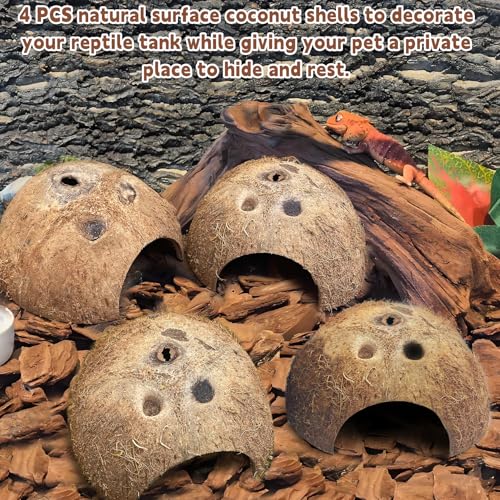 PINVNBY Natural Coconut Reptile Hideouts Lizard, Coco Hut Hermit Crab Hut Aquarium Fish Hide Cave for Small Reptile Crested Gecko Leopard Gecko Spider Snail Climber Toys (4 PCS Natural Surface) - size: 4 PCS Natural Surface