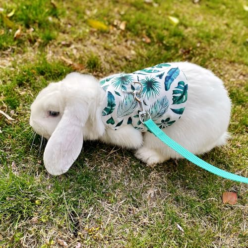 Adjustable Rabbit Harness and Leash Set Lightweight Pet Harness Breathable Cute Rabbit Harness with Safety Buckles for Small Pets