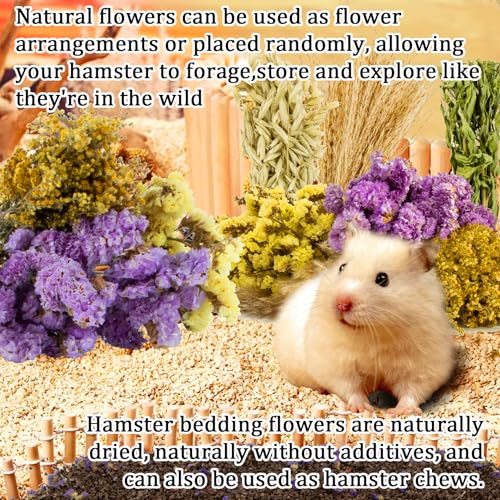 Sukh 42Pcs Hamster Sprays Natural - Sprays & Forage for Small Animals | Chew Herbs for Syrian Dwarf Hamsters & Guinea Pigs, Habitat Dry Flowers Decor, Hideout Enrichment, Cage & Bedding Accessories