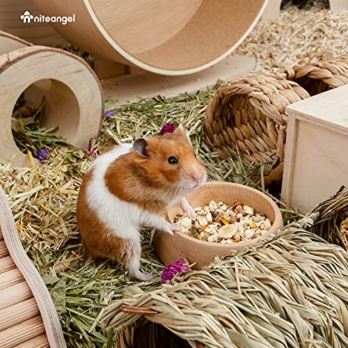 Niteangel Wooden Hamster Food Bowl: Beech Stable & Hammy Pattern for Syrian | Prevent Oil & Dust Small Animal Feeding Dish for Dwarf Syrian Hamsters Gerbils Mice Degus or Other Similar-Sized Small Pets - size: For Syrian