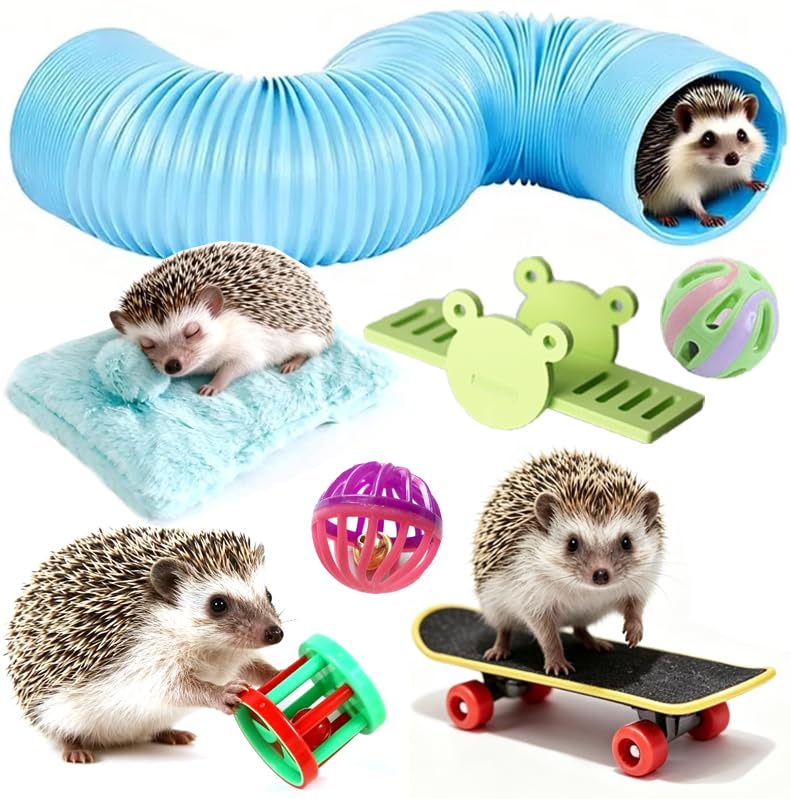 Hedgehog Enrichment Toys Set, Includes Hideout Tunnel, Skateboard, Ball Bell, Cozy Bed, and Seesaw, 5 Piece - color: Blue