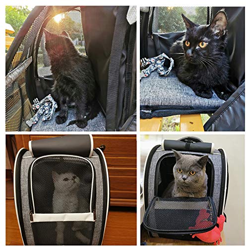 Texsens Innovative Traveler Bubble Backpack Pet Carriers for Cats and Dogs - color: Upgraded-Black