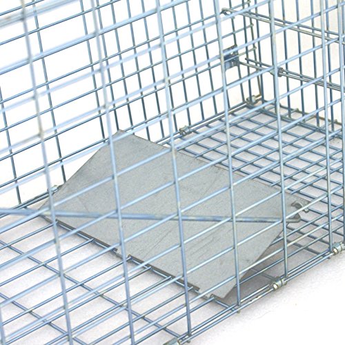 32" X 12" X 12.5" Large Live Animal Trap Cage Humane One-Door Solid Steel Catch and Release Rodent Cage for Raccoon, Rabbits, Stray Cats, Squirrel, Groundhogs, Opossums, Armadillos - style: 32" X 12" X 12.5"