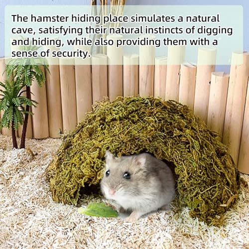 kathson 2Pcs Hamster Hideout House,Natural Mossy Coconut Hut Hides Hideaway | Pet Hiding House, Small Animal Cage Accessories for Mouse Mice Rat Gerbil Reptiles - size: 2 Pcs Small