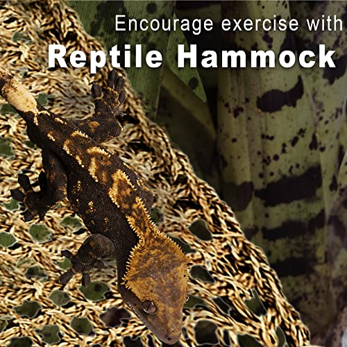 SunGrow Leopard Gecko, Hermit Crab, Reptile Hammock, 7.8 x 7.8 x 11 Inches, Handwoven, Includes 3 Suction Cups (1 Pieces (22 x 7 in))