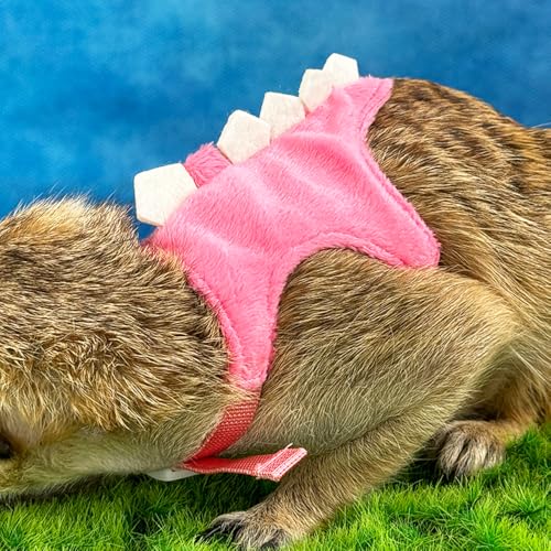 Ferret Harness and Leash Set Small Animals Vest Harness with Safe bell Dinosaur Shaped Walking clothes for Baby Rabbit Guinea pig Teacup Chihuahua Mouse and other small pet. (Pink Dinosaur) - color: Pink Dinosaur