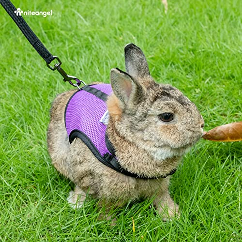 Niteangel Adjustable Soft Harness with Elastic Leash for Rabbits (M, Pink) - color: Pink, size: M