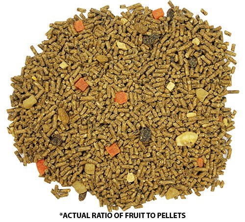 Glider Complete 5 lb | Natural Fruit Bits | Sugar Glider Food - size: 5 Pound (Pack of 1)