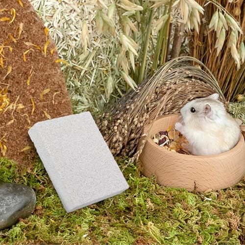 Balacoo Rabbit Scratch Foot Pads, Natural Small Animal Volcanic Stone Teeth Grinding Scratching Pad Chew Toy for Hamster, Guinea Pig, Gerbil, Chinchilla, Hedgehog