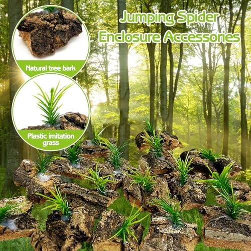 Jumping Spider Enclosure Accessories 30 Pcs Small Cork Bark for Tarantula Hide Spider Terrarium Decorations Reptiles Habitat Decor (Bark with Small Grasses)