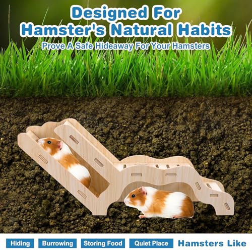 Versatile Hamster Hideout and Exploration Tunnel, Snap-Together Wooden Burrow with Panoramic Window Hamster Explorer for Gerbils Hamsters Small Pets Chew-Safe Cage Enrichment