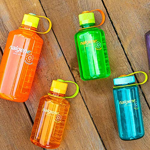 Nalgene Tritan Wide Mouth BPA-Free Water Bottle, Trout Green, 16 oz