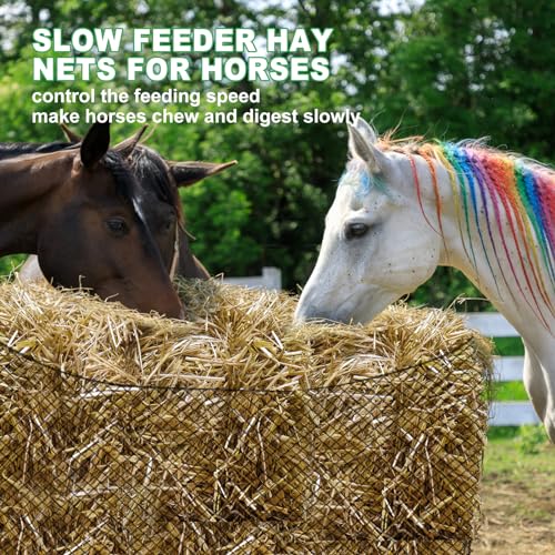 TONGMO 6x6 ft Round Bale Hay Net for Horses & Livestock - Slow Feeder Hay Nets with 2 inches Hole - size: 6×6 ft