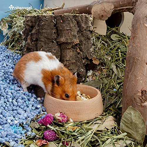 Niteangel Wooden Hamster Food Bowl: Beech Stable & Hammy Pattern for Syrian | Prevent Oil & Dust Small Animal Feeding Dish for Dwarf Syrian Hamsters Gerbils Mice Degus or Other Similar-Sized Small Pets - size: For Syrian