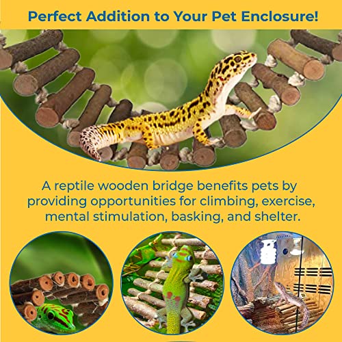 SunGrow Gecko Wooden Ladder Bridge, 14 x 3 inches, Exercise Gym, Interactive Swing Perch for Resting, Metal Clasps for Hanging, Vertical Stairs for Climbing