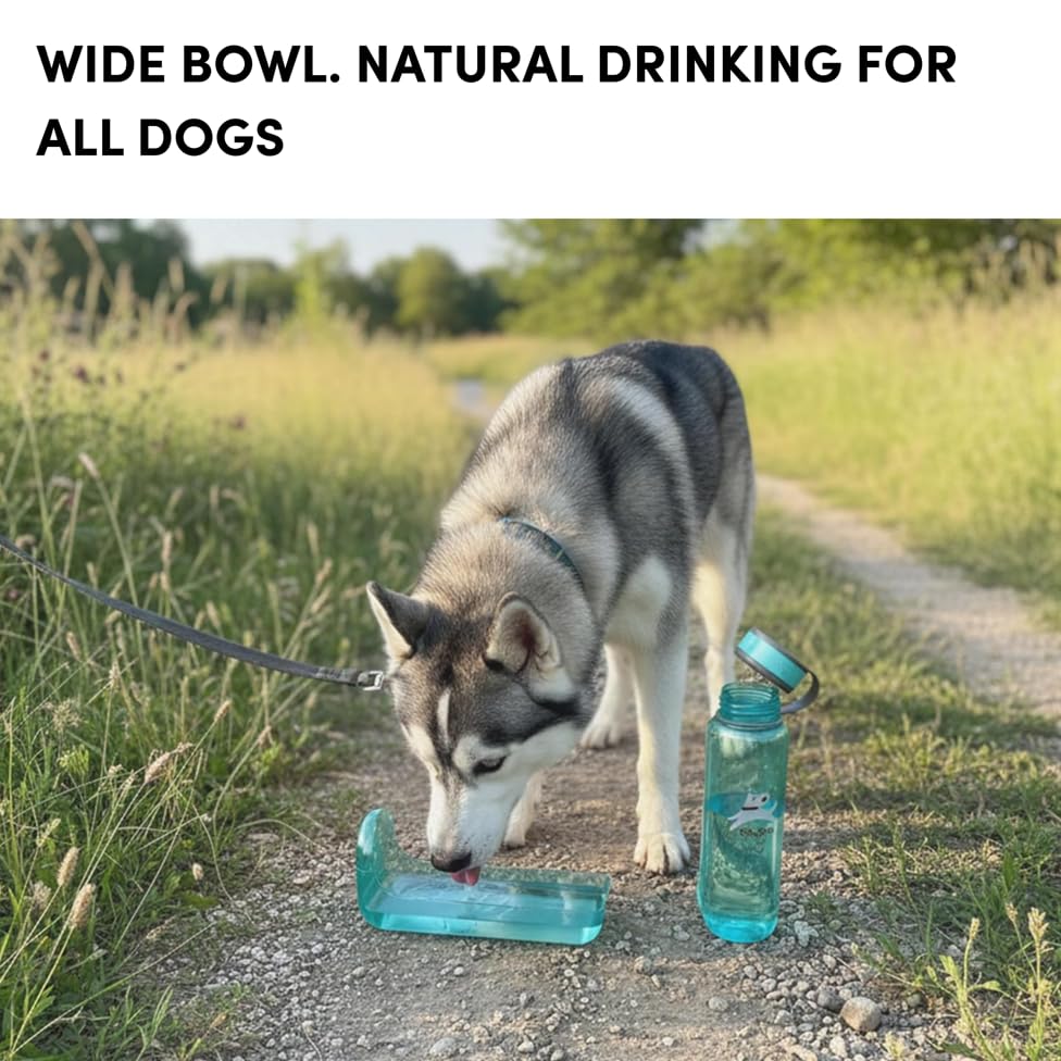 OllyDog OllyBottle Tritan Water Bottle with Detachable Dog Bowl | BPA Free Leakproof | 34oz | Share Water with Your Dog | Hiking Travel Camping (1L, Aqua Blue) - color: Aqua Blue, size: 1L