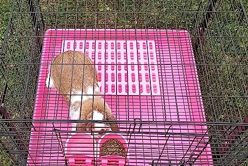 Saguaro Acres Rabbit & Small Animal Cage Resting Mat, Pink & Blue, 6-Pack | Wire Floored Cages - color: Pink and Blue