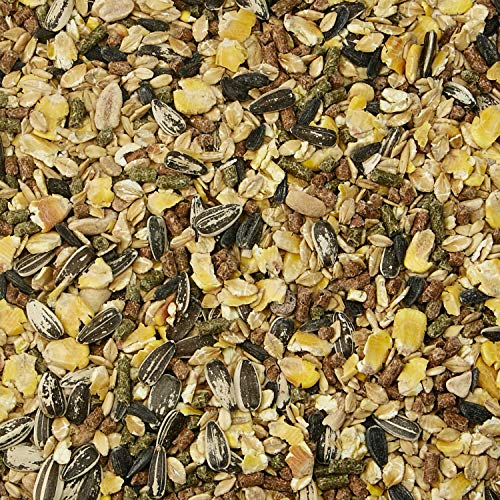 Kaytee Supreme Pet Mouse and Rat Food, 4 lb - size: 4 Pound (Pack of 1)