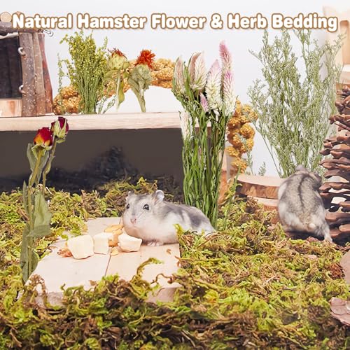 Fhiny Natural Hamster Bedding, Flower & Herb Hamster Bedding Mate Hamster Sprays Gerbil Habitat Decor Accessories for Dwarf Syrian Hamster Gerbil Mouse Mice Lemming Degus or Other Small Pets