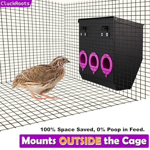 CluckRoots No Waste Quail Feeder, 3 x 1.5'' Ports for Adult Coturnix Quail | Outside-Hanging Metal Feeder for Wire Cages Hutch Pen to Save Space, No Spill No Mess for Japanese Jumbo Pharaoh Quail - size: 8 Inch