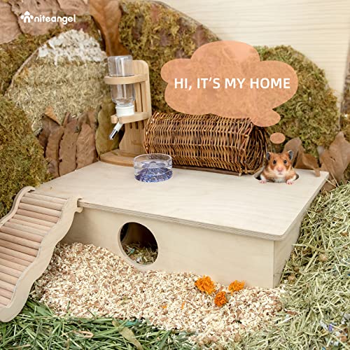 Niteangel Multi-Chamber Hamster House Maze: 2 Entrance 6 Rooms Maze Habitat | No-Disturb Removable Lid - Encourage Pets Hide and Explore Freely Hideout & Tunnel Maze Toys for Hamster Gerbils Mice Lemming - size: 6-Room Large
