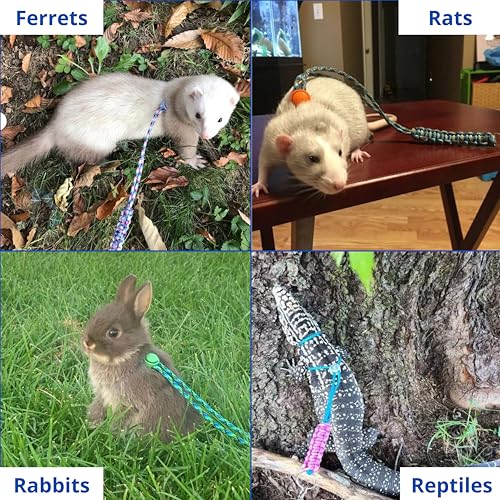 Ferret Leash Harness Adjustable Squirrel Sets, Leashes and Harnesses for Ferrets Guinea Pig Chinchilla Rat Dragon Bearded Small Animal, Pet Squirrel Ferret Accessories (Blue) - color: Blue
