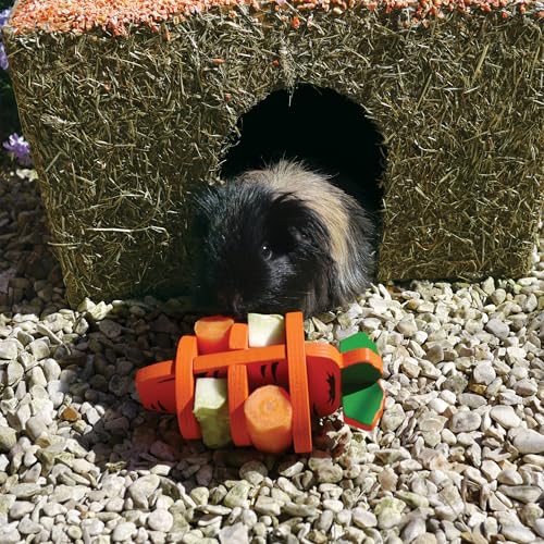Rosewood Naturals Carrot Cottage House for Guinea Pigs, Chinchillas and Degus, Medium