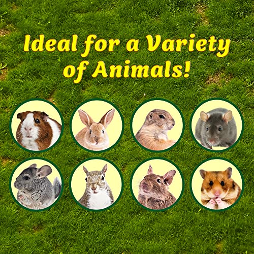 Willow Value Pack - Natural Safe Woven Wood Chew Toys - Hamsters, Guinea Pigs, Rabbits, Hedgehogs, Chinchillas, Rats, Ferrets, Sugar Gliders, Squirrels, Prairie Dogs, Marmosets, Degus, & Small Pets