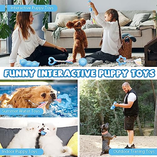 ABRRLO 6 Pack Puppy Teething Toys Cute Blue Puppy Chew Toys for Teething Small Breed Dog Chew Toy Interactive Pet Toy Set for Puppies to Keep Them Busy Soft Durable Small Breed Doggy Chewing Ball - color: Blue