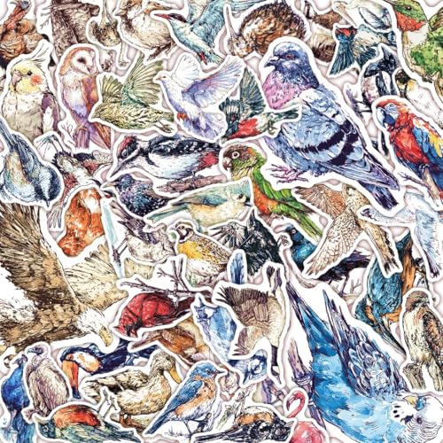 100 PCS Bird Stickers Pack – Waterproof Bird Decals for Water Bottles, Laptops, Phones, Notebook, Cars – Cool Vibrant Graphics for Bird Enthusiast - color: Bird