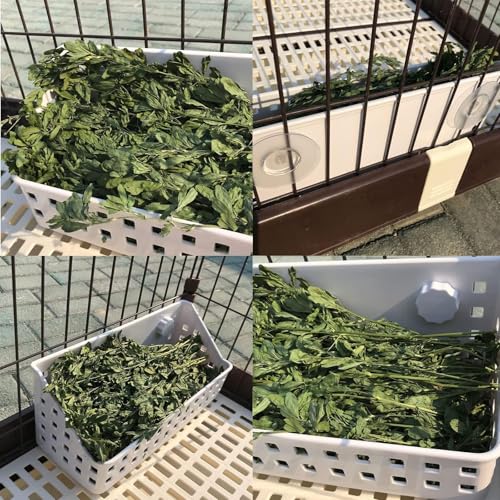 kathson Hay Feeder for Rabbit, Bunny Hay Holder Guinea Pig Hay Feeder Plastic Hay Rack for Rabbits Small Animal Chinchilla Ferret (7.5 X 4.7 X 5.5 inch) - size: 7.5 X 4.7 X 5.5 inches, 1 Piece