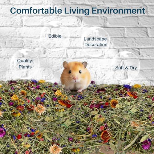Sukh Hamster Bedding Odor Control - 200G Flowers & Herbs for Small Animals | Natural Habitat Decor and Forage Material for Dwarf Hamster, Chinchilla, Guinea Pig, Rabiit, Gerbil, Mice, Lemming