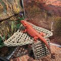 Bearded Dragon Hammock Lizard Tank Accessories Reptile Lounger Amphibian Habitat Décor for Chameleon, Geckos, Snakes, Hermit Crab, Lguana Reptiles, Tortoises - size: 22"T+8"