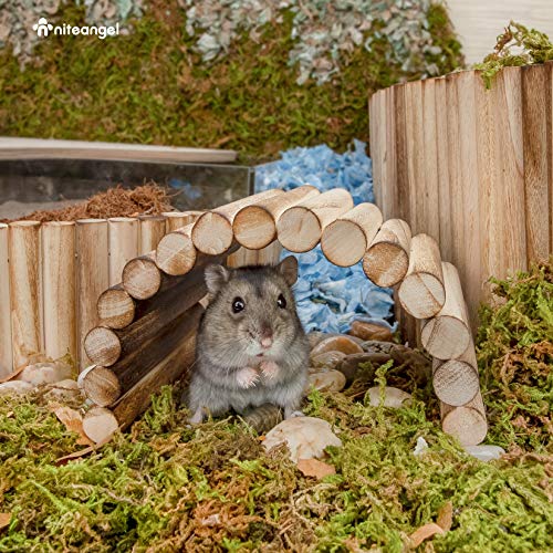 Niteangel Small Animal Climbing Toy: 7.8" x 3.9" Bendable & Flexible Shape | Underground Hideout & Dome Shelter - Suspension Bridge Ladder for Hamsters Gerbils Mice Rats Guinea Pigs or Other Small Pets - size: 7.8'' x 3.9''