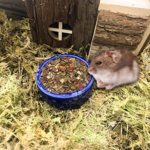 kathson 2 Pcs Hamster Food Bowl Guinea Pig Ceramic Water Bowl Small Animal Feeding Dish for Dwarf Hamster Gerbil Syrian Ferret Hedgehog Chinchilla Bunny (Navy)… - color: Navy, size: 2Pcs:S