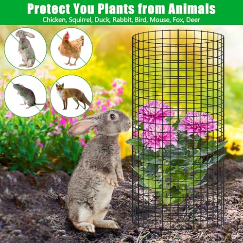 5 Pack Plant Protectors from Animals, 24x12" Plant Cages for Outdoor Plants | Wire Plant Protector, Thick Metal, Non-deformable, Free-Cut, Cap-less Design, Plant Protection Cage to Keep Animals Out - size: 5 PACK-24x12inch