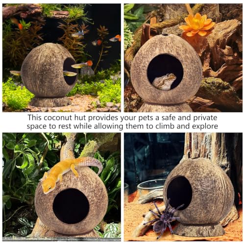 PINVNBY 2 Pcs Natural Coconut Shell Reptile Hideouts Crested Gecko Tank Accessories for Small Lizard Leopard Gecko Spider Snail Hermit Crab Hideout - size: High-Crowned Style, 2PCS