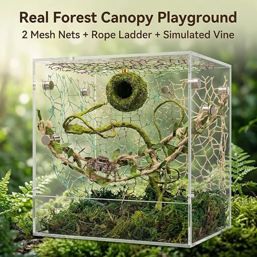 Jumping Spider Enclosure Accessories Kit, Magnetic Moss Ball Hideout, 2 Mesh Nets & Leafy Rope Ladder, 3D Forest Canopy Habitat with 5 Magnets for Jumping Spiders Fun Enclosure Accessories